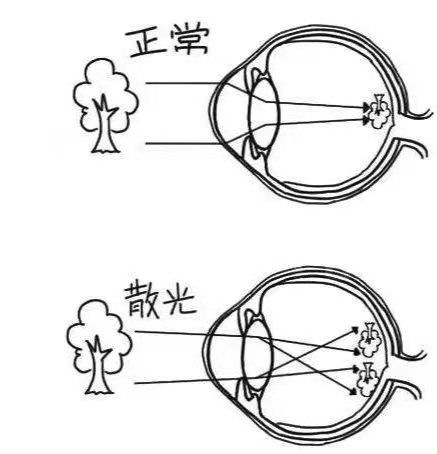 图片 7_compressed.jpg